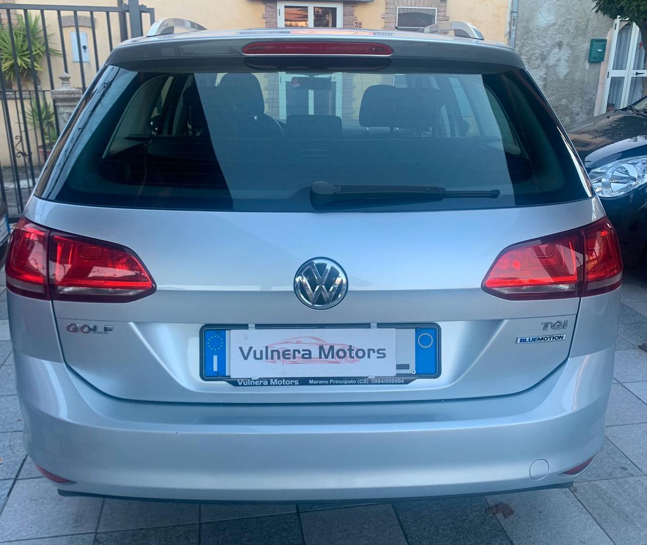 Volkswagen Golf 1.4 TGI 5p. Executive BlueMotion