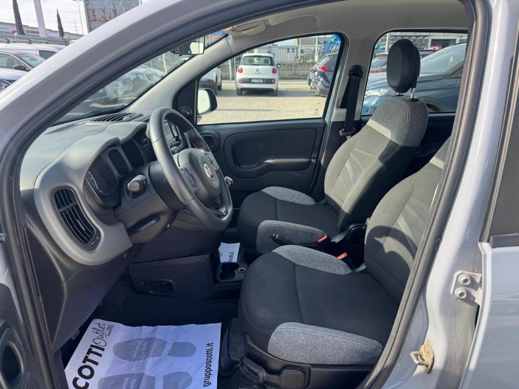 FIAT Panda III 2021 - Panda 1.0 firefly hybrid s&s 70cv 5p.ti