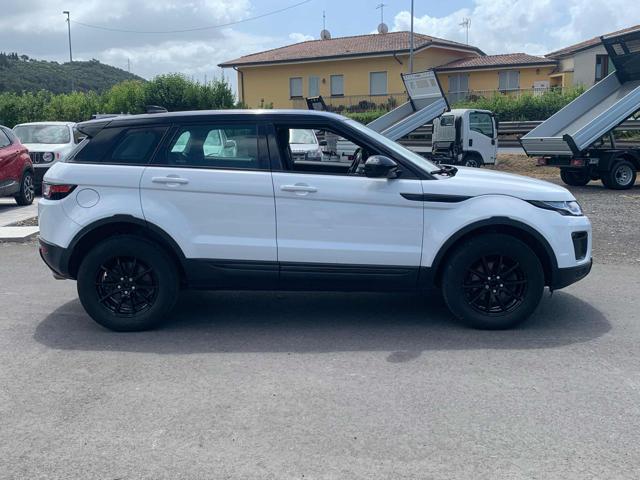 LAND ROVER Range Rover Evoque 2.0 eD4 5p. Business Edition Premium Pure