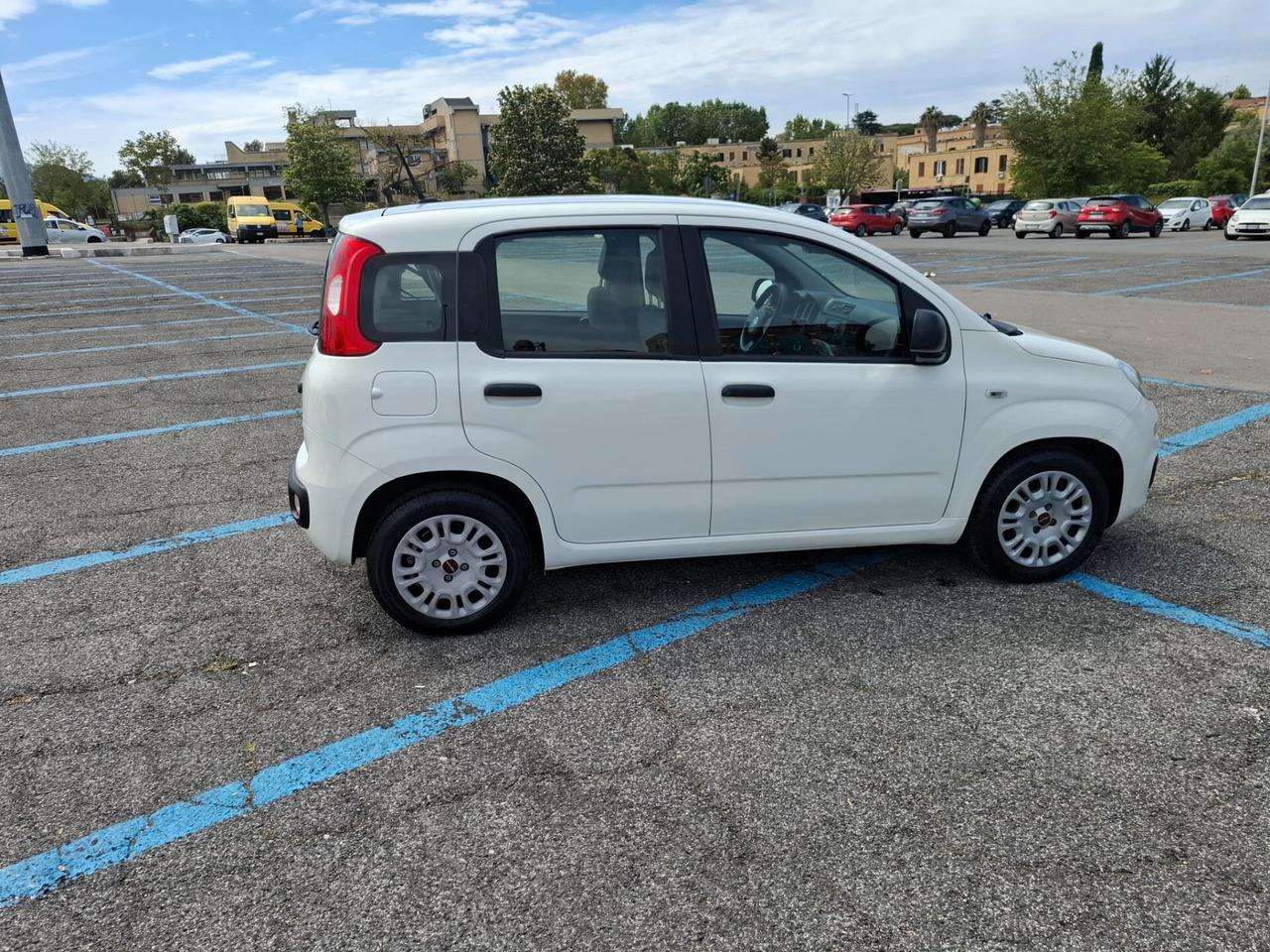 Fiat Panda 1.0 FireFly S&S Hybrid NOLEGGIO