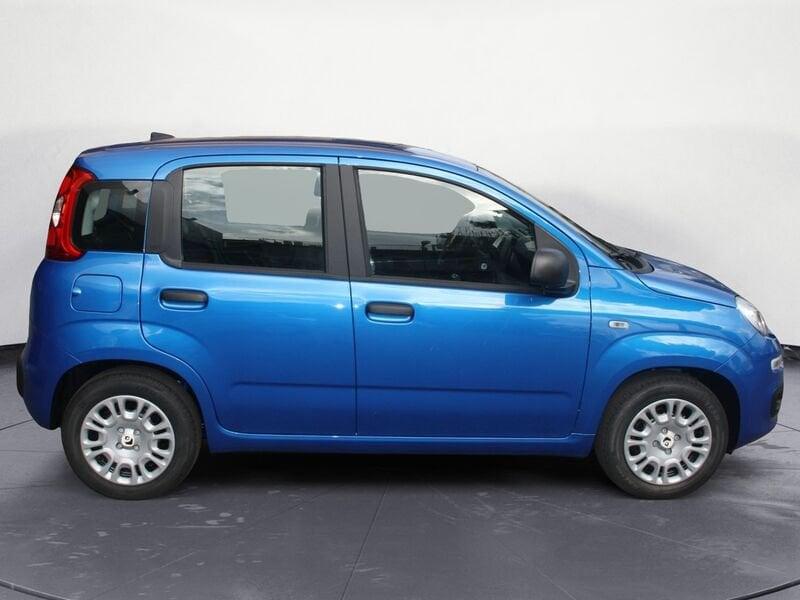 FIAT Panda Panda 1.0 FireFly S&S Hybrid Pop