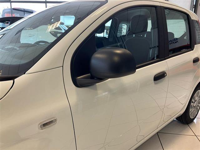 FIAT Panda Pandina 1.0 FireFly Hybrid 65cv Icon S&S 5p.ti
