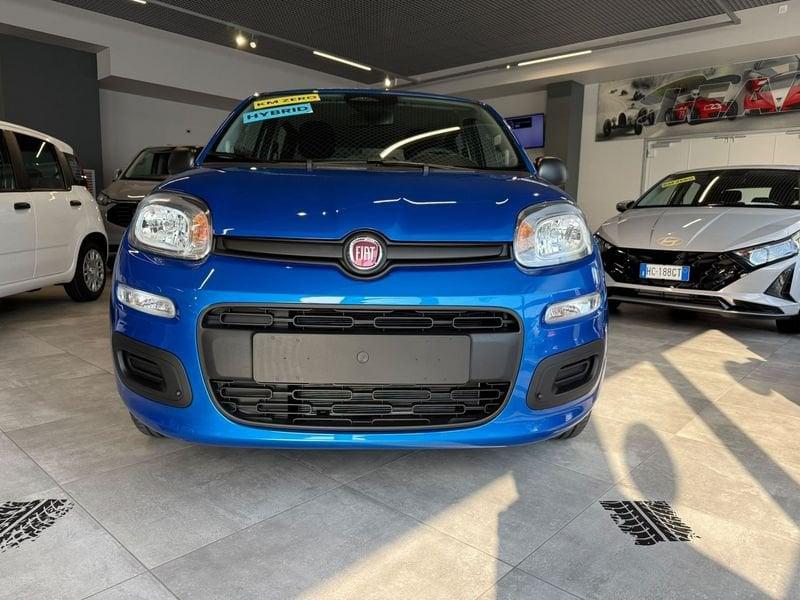 FIAT Pandina Pandina 5p 1.0 FireFly 65cv S&S 6m Hybrid Icon