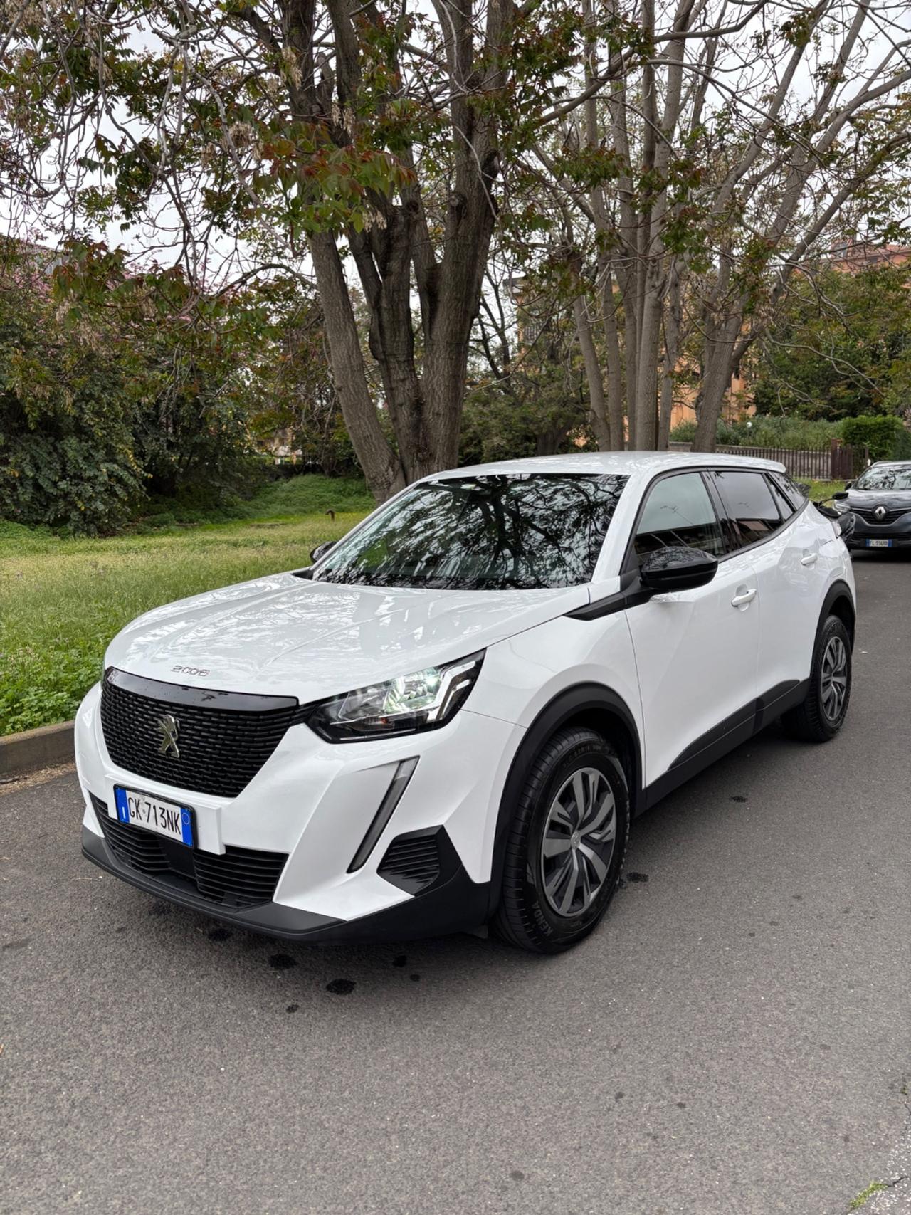 Peugeot 2008 BlueHDi 110 2022