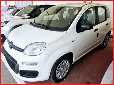 Fiat Panda 1.0 Hybrid City - PRONTA CONSEGNA -