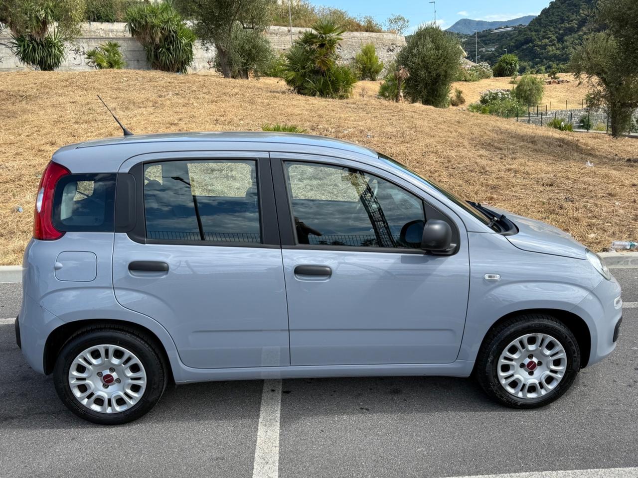 Fiat Panda 1.2 Easy - FINANZIABILE SENZA ANTICIPO -