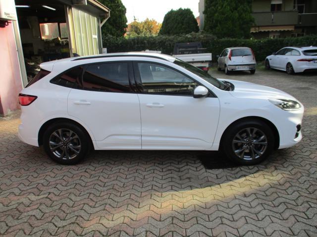 FORD Kuga 1.5 EcoBoost 150 CV 2WD ST-Line