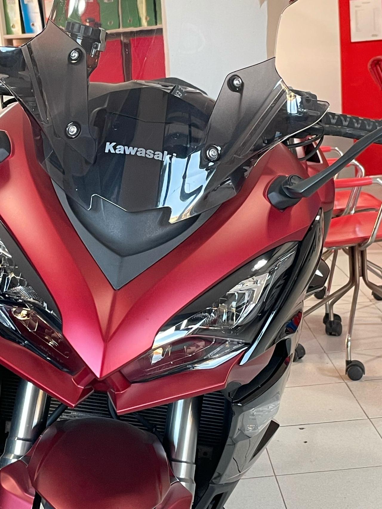 Kawasaki Ninja 1000 SX