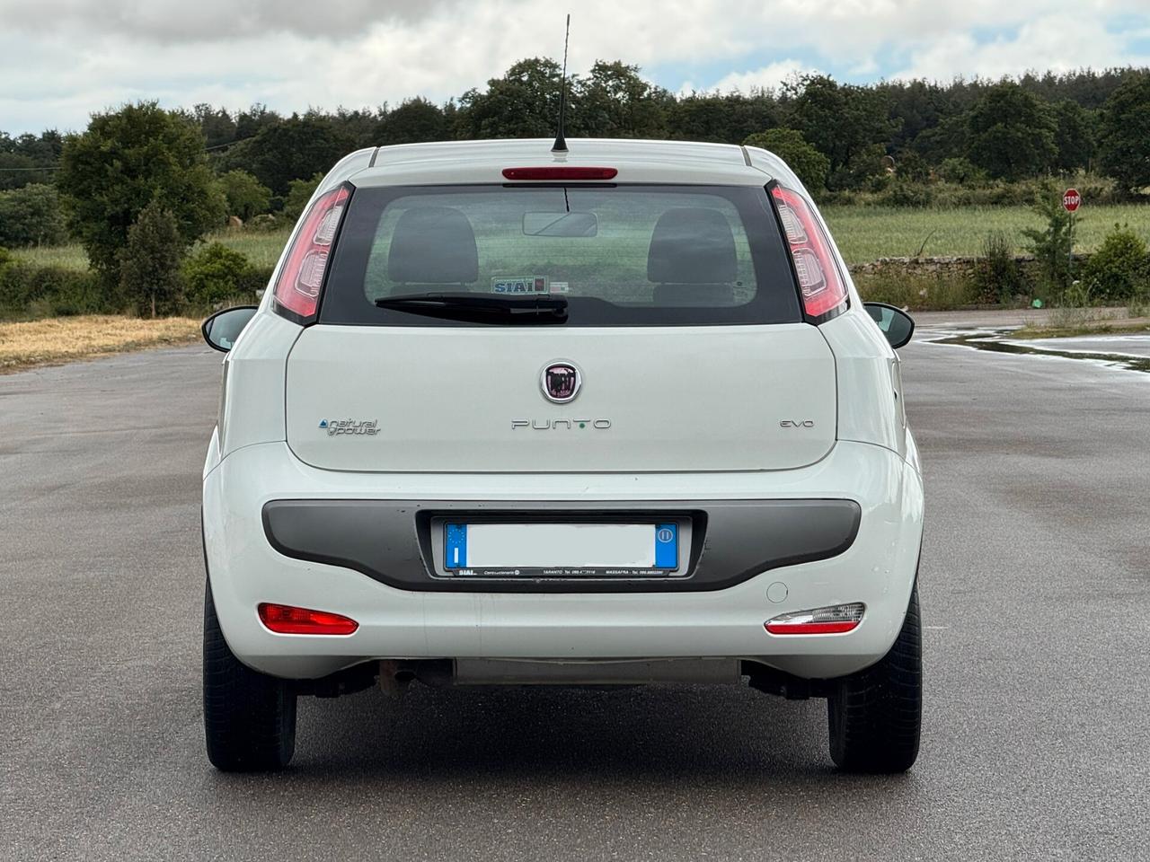 Fiat Punto Evo 1.4 5 porte Active Natural Power