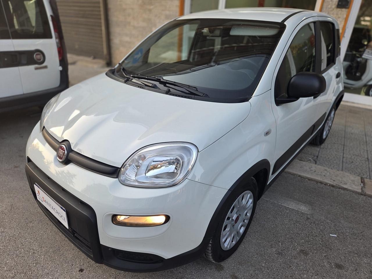 FIAT PANDA 1.0 70cv Hybrid Euro 6d Van 4 p. Street