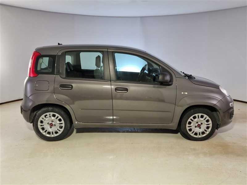 FIAT PANDA 1.0 70cv S/S Hybrid E6d-T Easy 5 PORTE