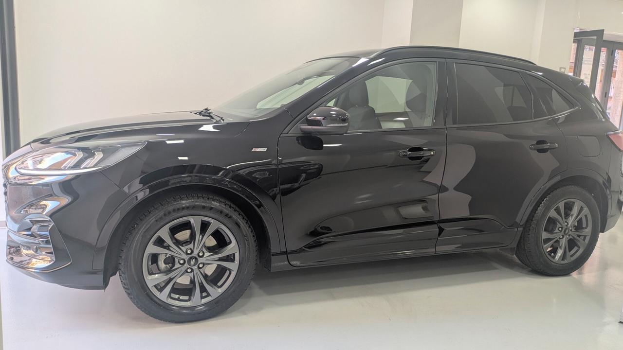Ford Kuga 1.5 EcoBlue 120 CV aut. 2WD ST-Line
