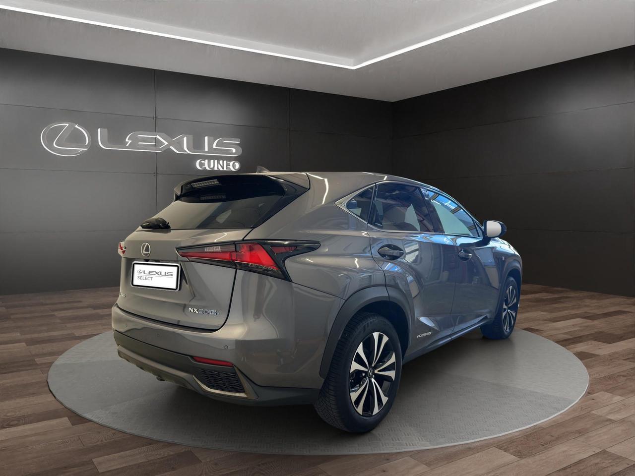 Lexus NX 300h 2.5 F Sport 4wd cvt