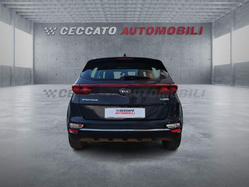 KIA Sportage Sportage 1.6 crdi mhev Urban 2wd 136cv