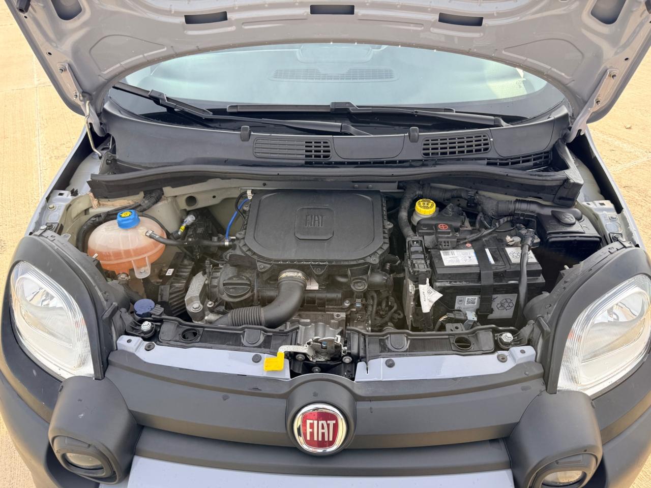 Fiat Panda 1.0 S&S Hybrid City Cross “POCHI KM”