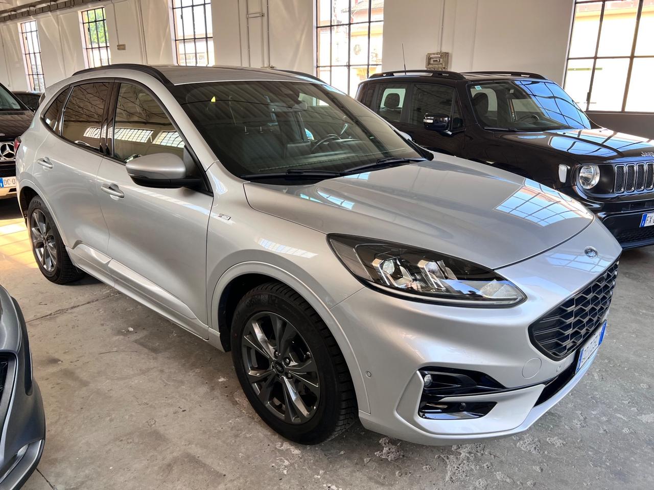 Ford Kuga 1.5 EcoBlue 120 CV aut. 2WD ST-Line X CINGHIA FATTA