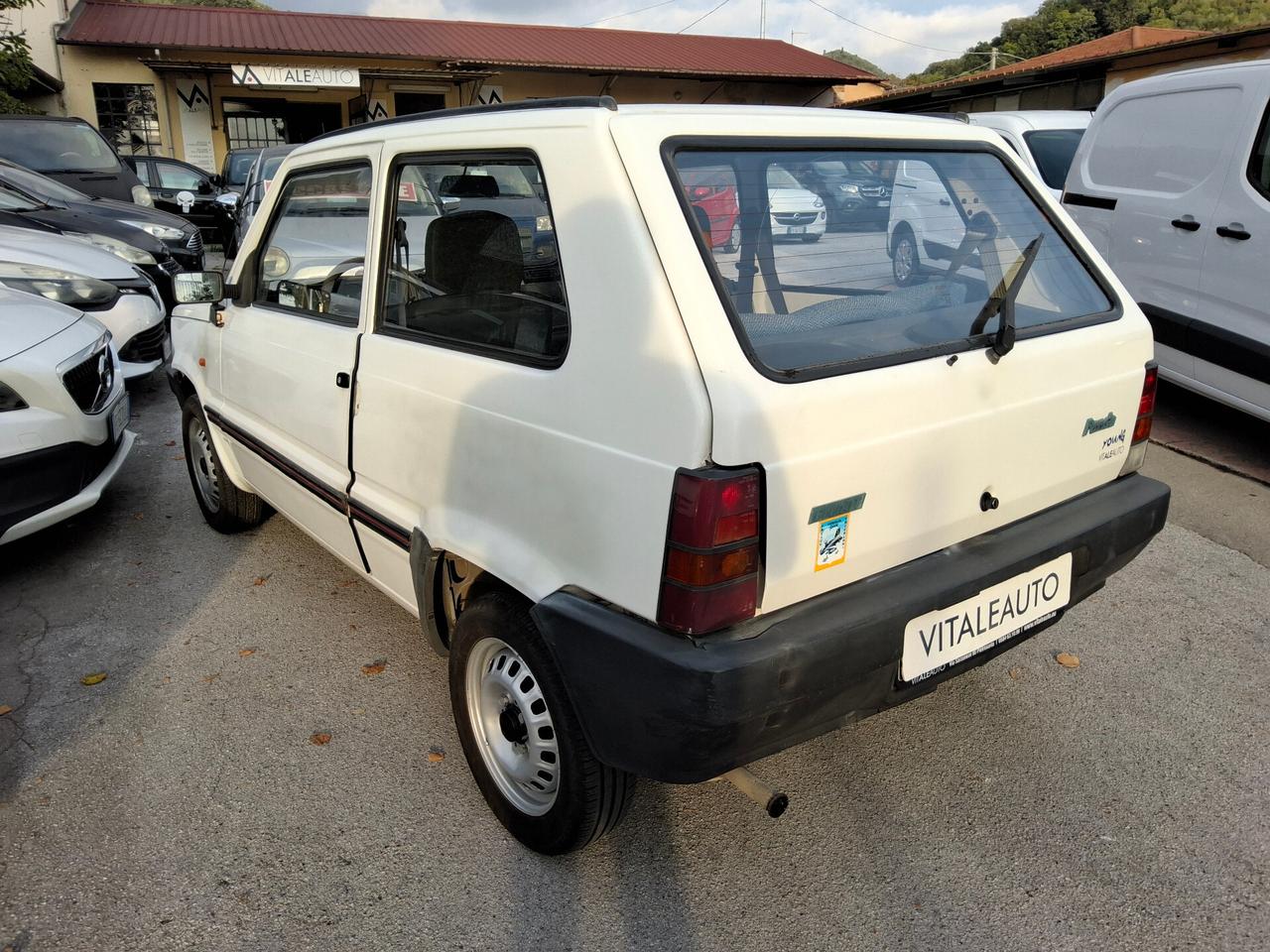 Fiat Panda 900 i.e. cat Young