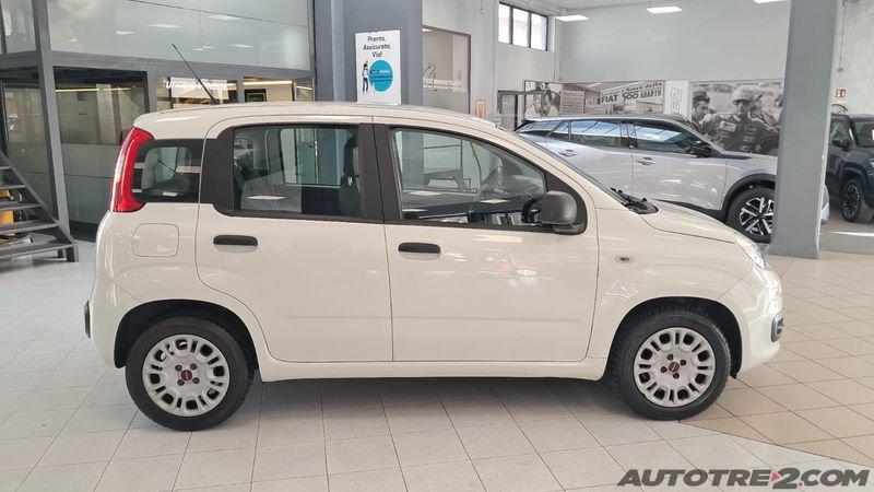 FIAT Panda Panda 1.2 Easy PROMO SENZA PENSIERI