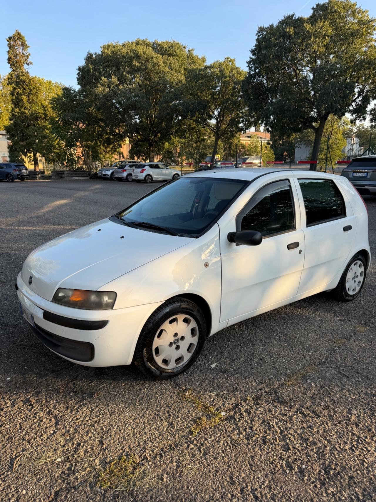 Fiat Punto 1.2i cat 5 porte Verve