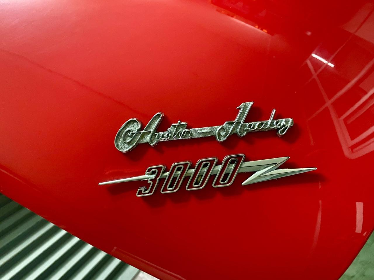Austin Healey Altro SPORTS 3000