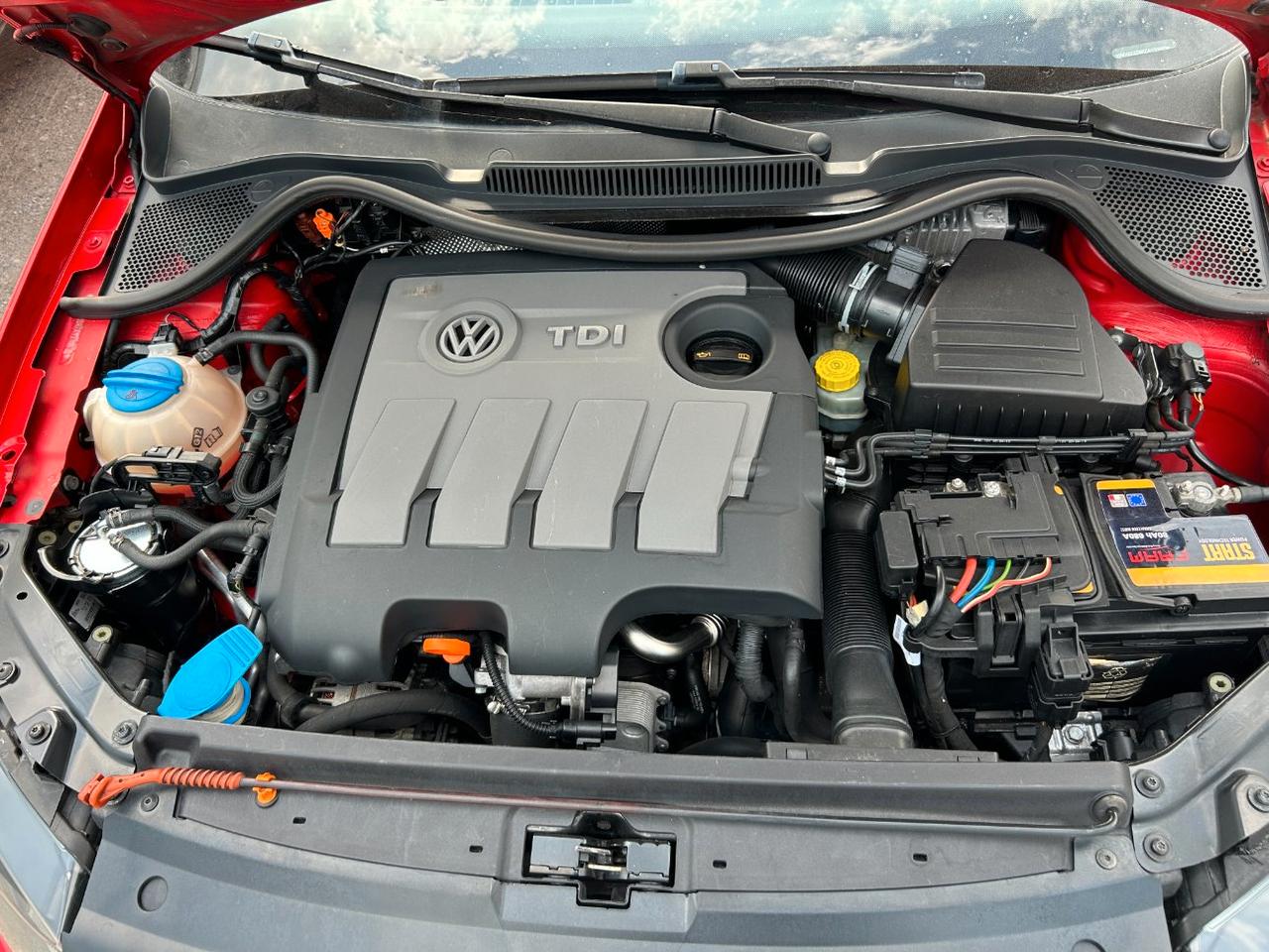 Volkswagen Polo 5 Porte Polo 5p 1.6 tdi 90cv