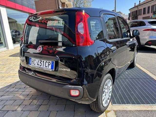 Fiat Altro Pandina 1.0 FireFly 65 CV Hybrid Icon