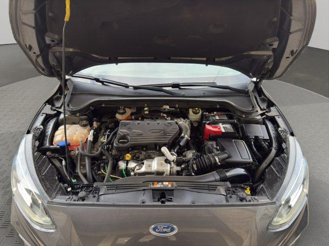 FORD Focus ACTIVE 1.5 EcoBlue 120 CV Business
