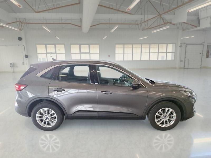 FORD KUGA 1.5 EcoBlue 120CV 2WD Titanium Business Auto