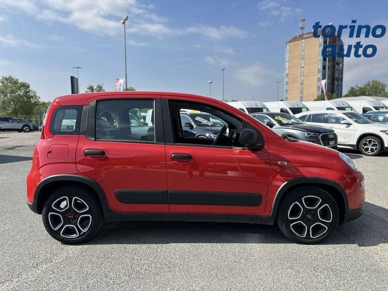 FIAT Panda 1.0 FireFly 70cv S&S Hybrid City Life