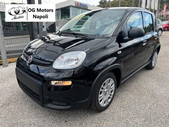 Fiat Panda 1.0 70cv Hybrid Pandino ADAS Km 0