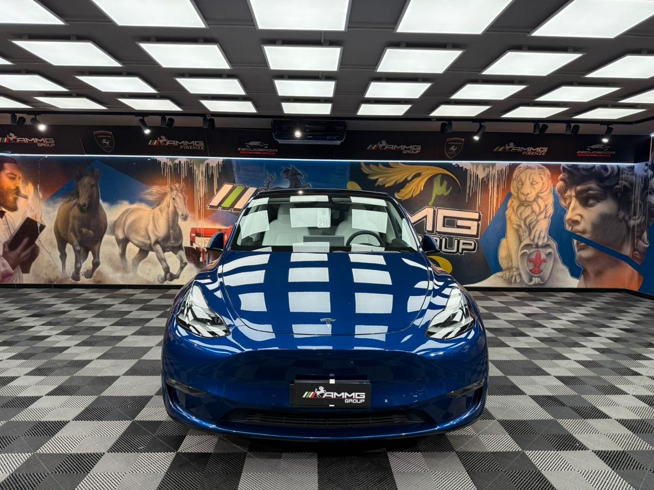 Tesla Model Y AWD Performance (265)