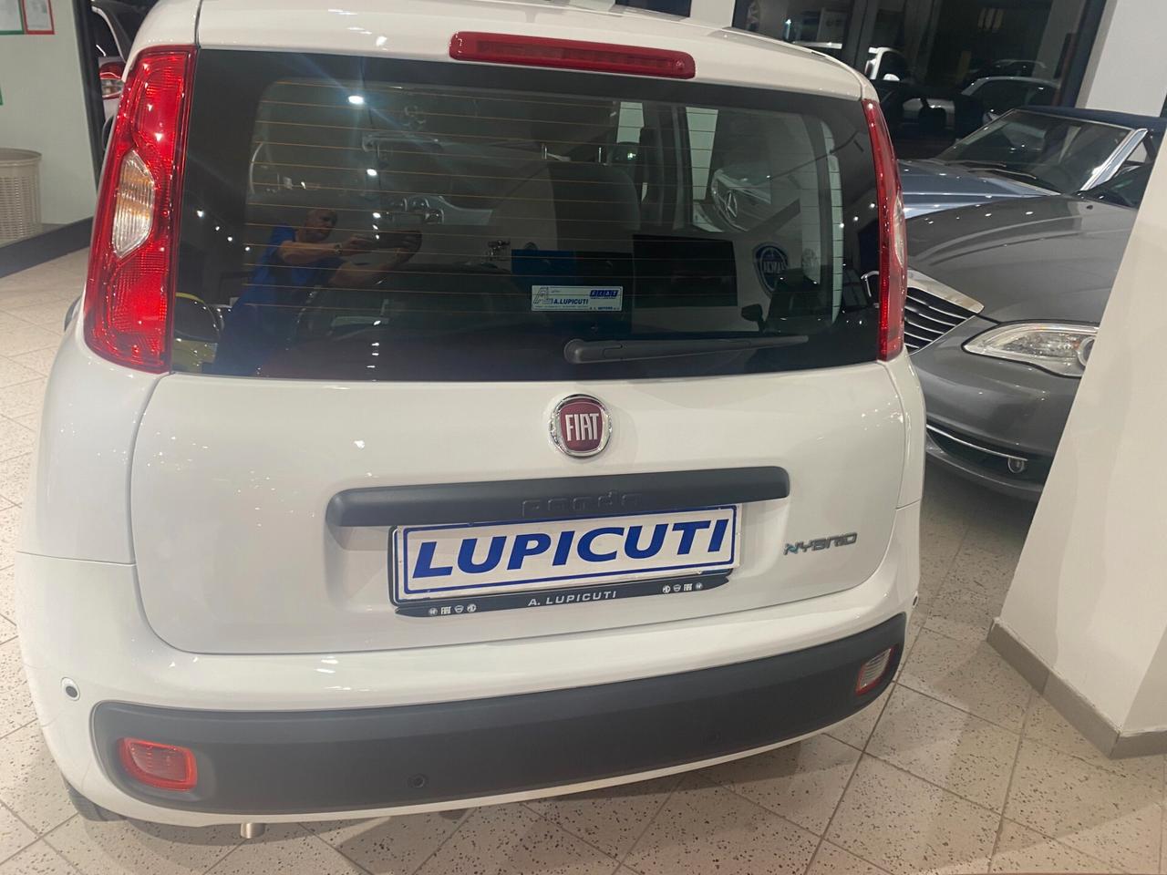 Fiat Panda 1.0 FireFly S&S Hybrid Icon