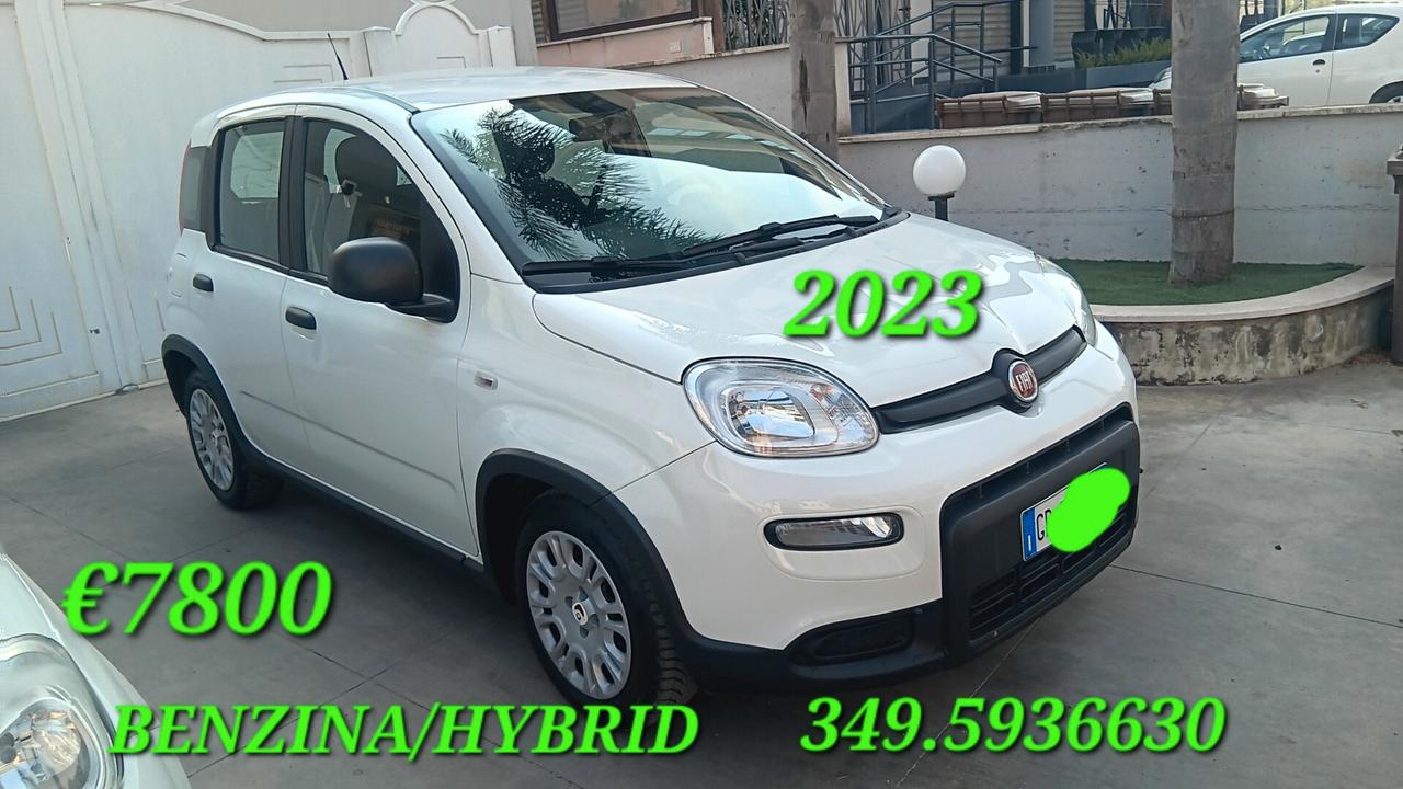 Fiat Panda usata mondialcars 023