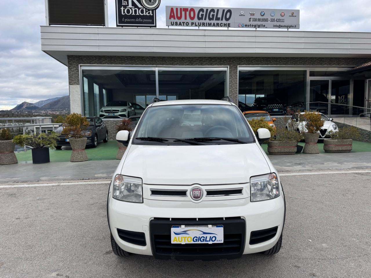 Fiat Panda 1.2 4X4 Dynamic GPL