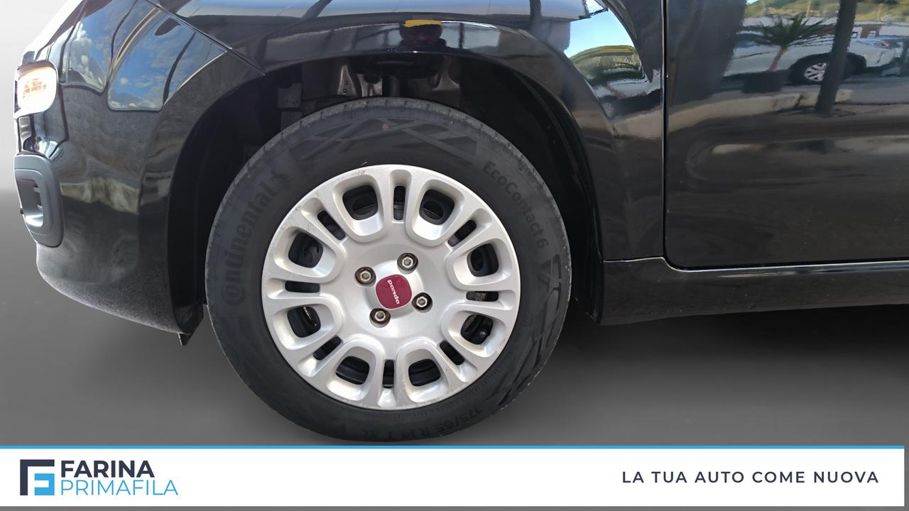 FIAT Panda III 2021 - Panda 1.0 firefly hybrid s&s 70cv