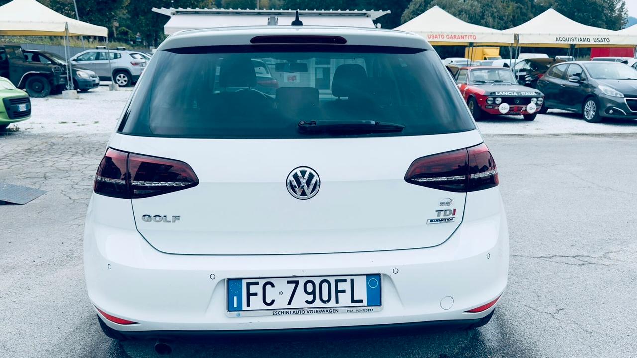 Volkswagen Golf 1.6 TDI 110 CV 5p. Business BlueMotion Technology