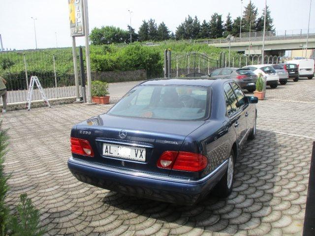 MERCEDES-BENZ E 250 diesel cat Avantgarde