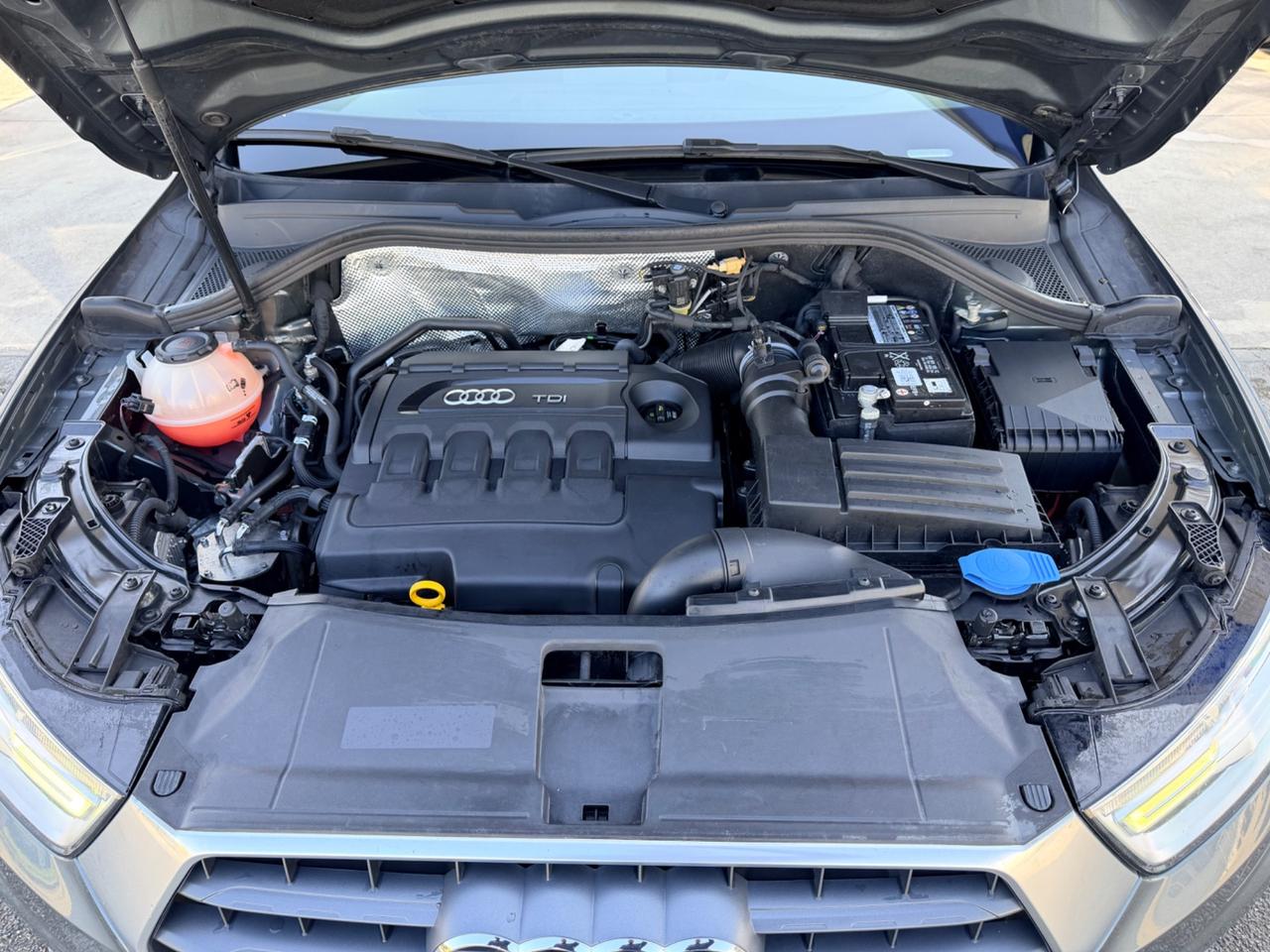 Audi Q3 2.0 TDI 120CV S tronic Sport in garanzia