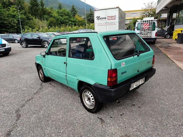 FIAT Panda 1ª serie 900 i.e. cat Young