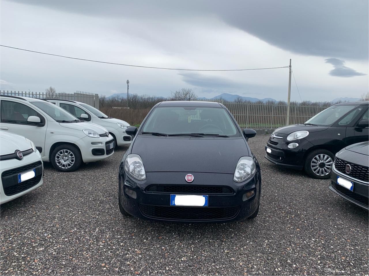 Fiat Punto 1.4 5p Easypower (GPL) Street - 2014