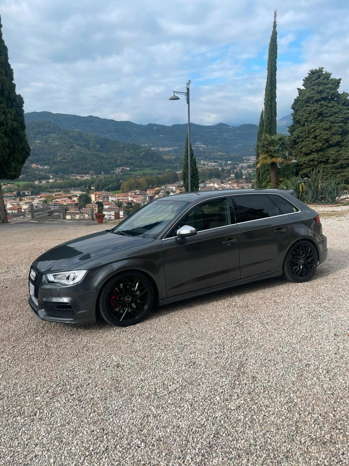 Audi A3 S3 2.0 TFSI quattro S tronic
