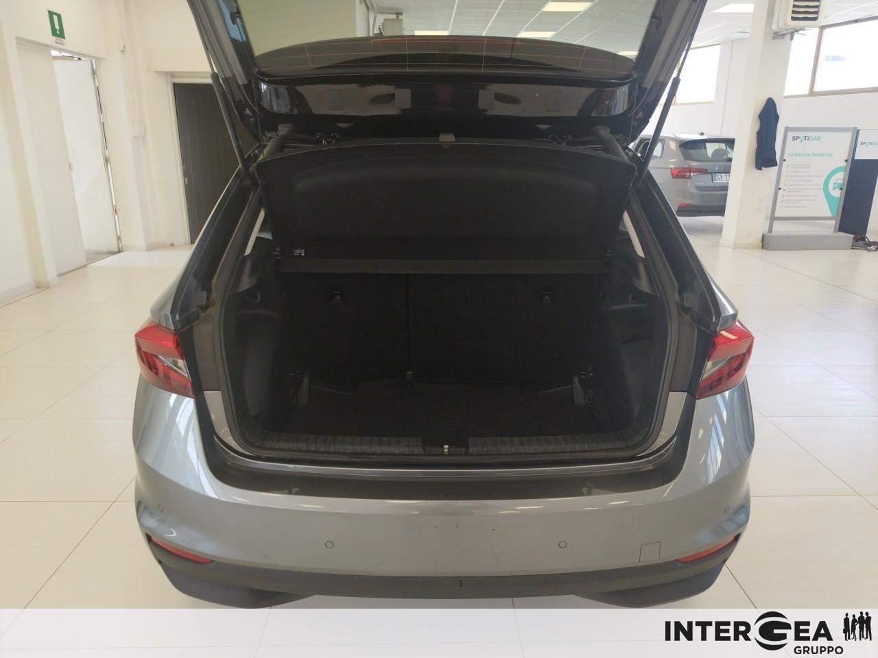 SKODA Fabia 1.0 tsi evo Selection 95cv