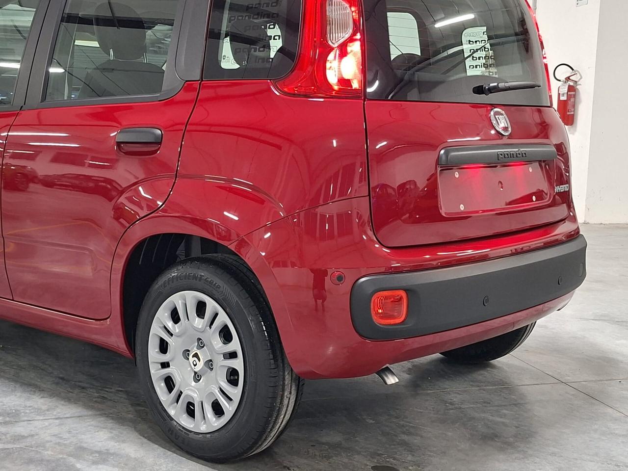 Fiat Panda 1.0 FireFly Hybrid 70CV Icon Km.0 (414)