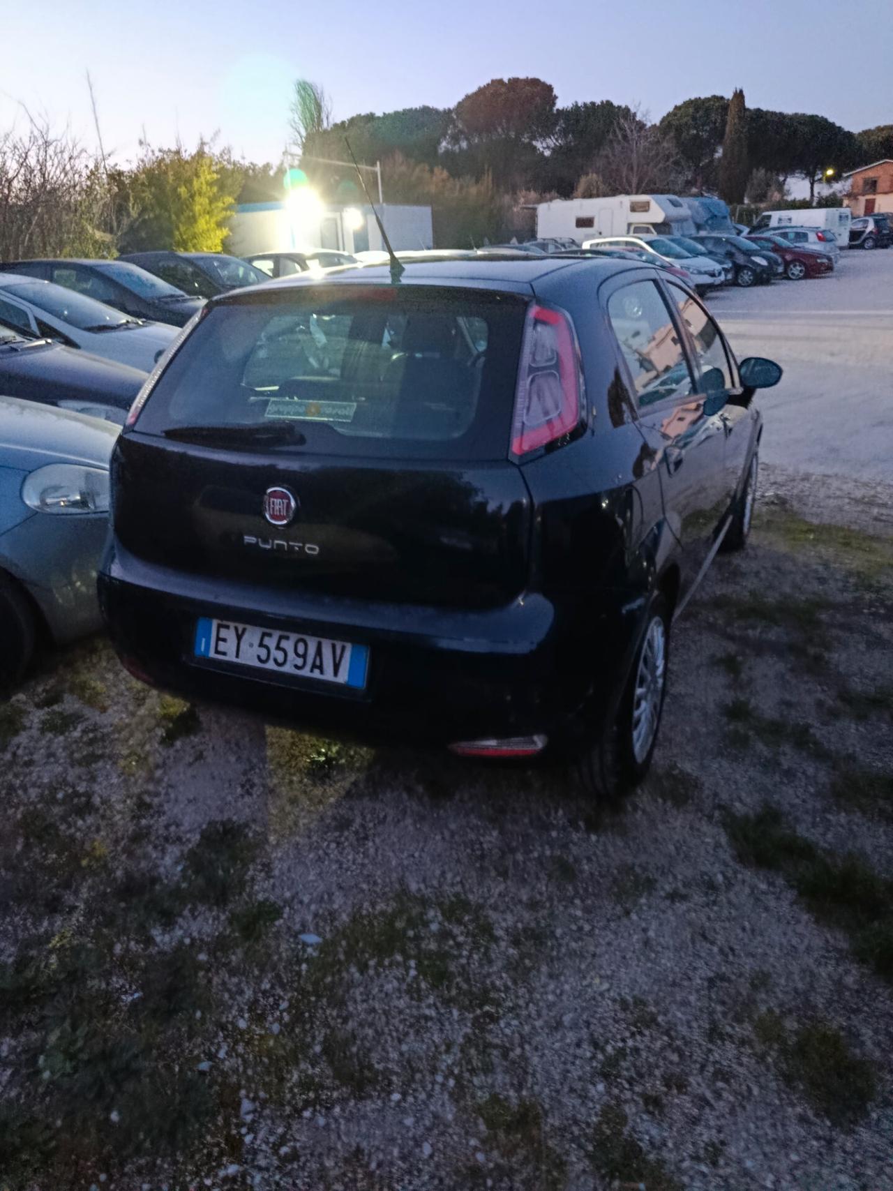 Fiat Punto 1.2 8V 5 porte Young