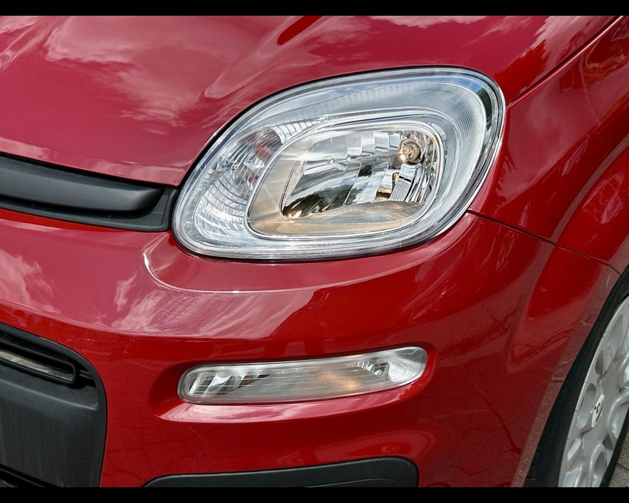 FIAT Panda My25 1.0 70cv Hybrid Panda
