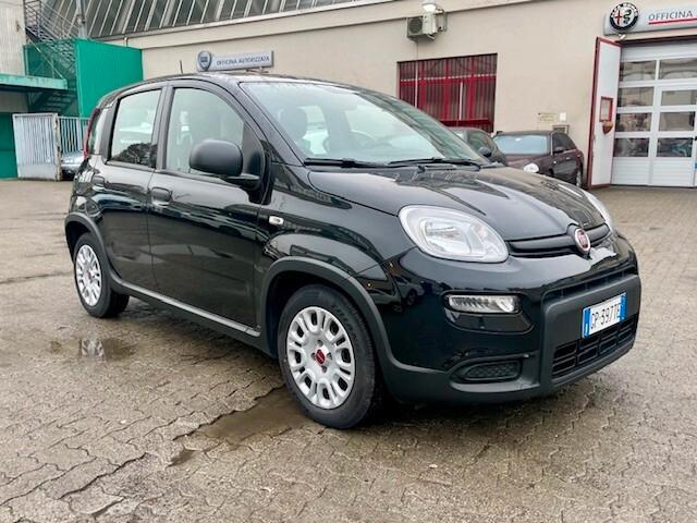 Fiat Panda 1.0 FireFly S&S Hybrid City Life PREZZO VERO!!!