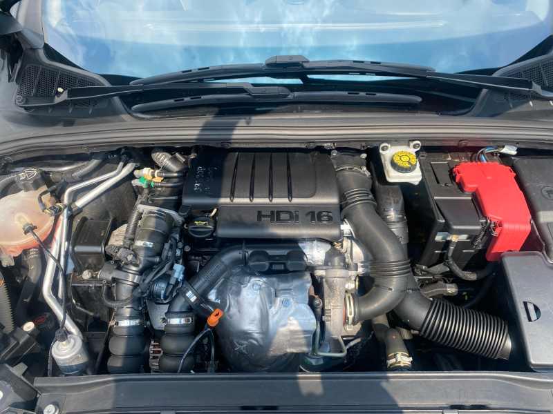 PEUGEOT 308 5p 1.6 hdi 16v Feline 110cv 6m