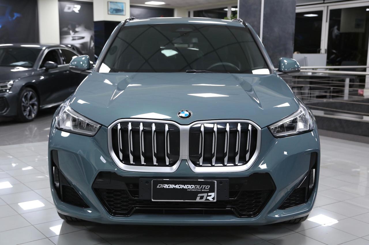 BMW X1 xDrive20d mhev Msport auto