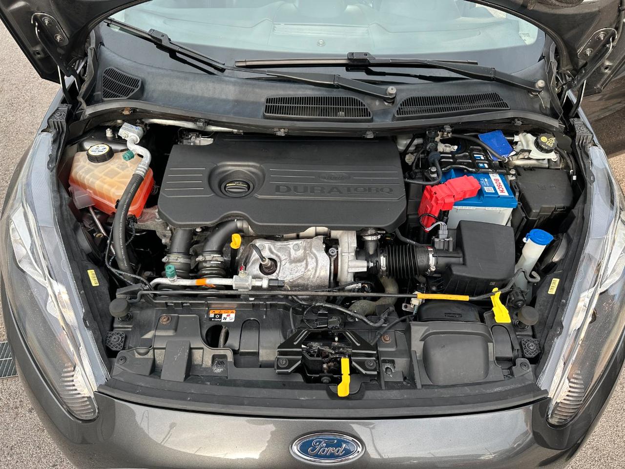 Ford Fiesta 5 Porte Fiesta 5p 1.5 tdci Business 75cv E6