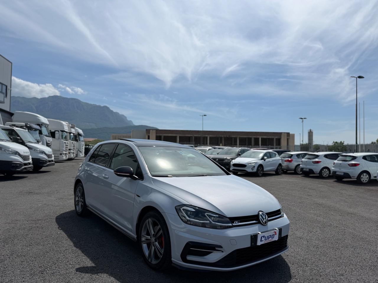 Volkswagen Golf 1.6 TDI 115 CV 5p. R-Line BlueMotion Technology